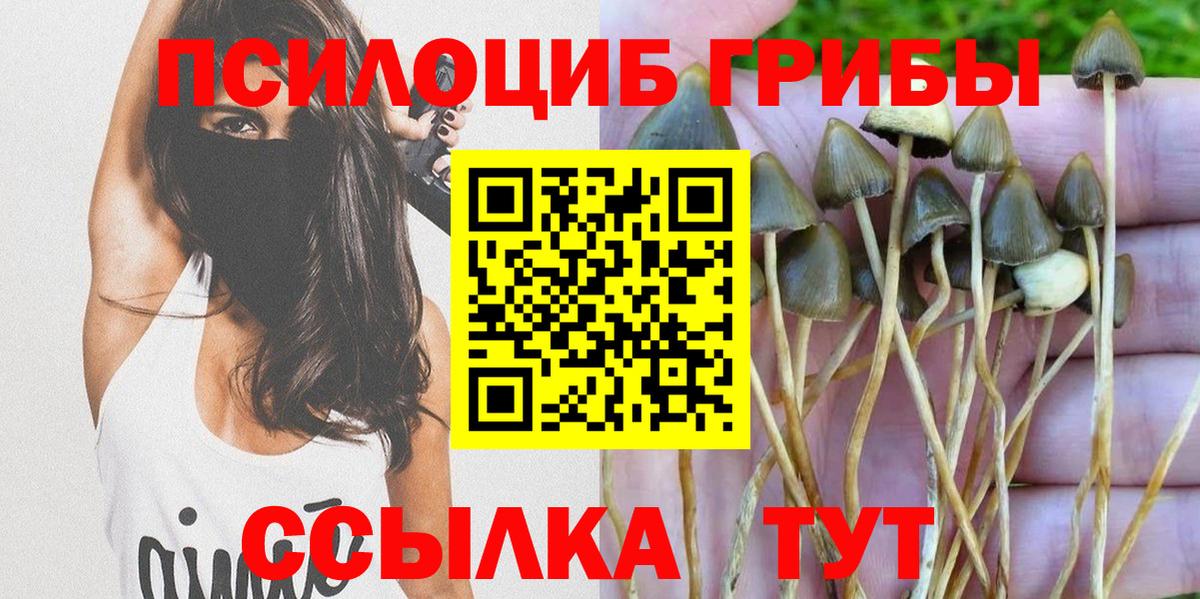 Галлюциногенные грибы Magic Shrooms  Вход с VPN  Ялуторовск 
